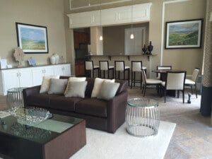 Brown color couches in the living area