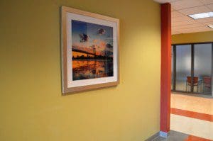 Teva Pharmaceutical- Frazer, PA